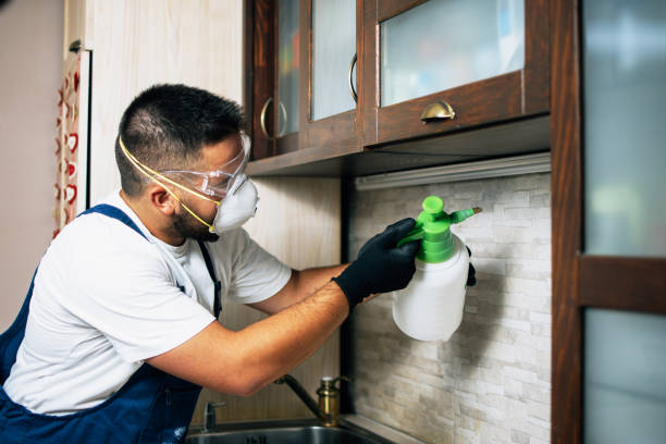 Best Commercial Pest Control Services  in Newville, PA