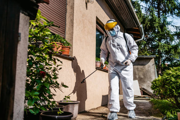 Best Best Pest Control Companies  in Newville, PA