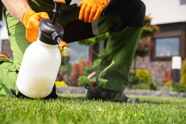 Best Wasp Removal Services  in Newville, PA