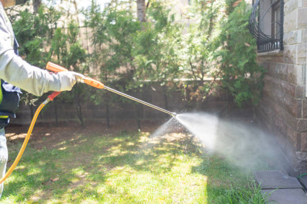 Best Flea Control Services  in Newville, PA